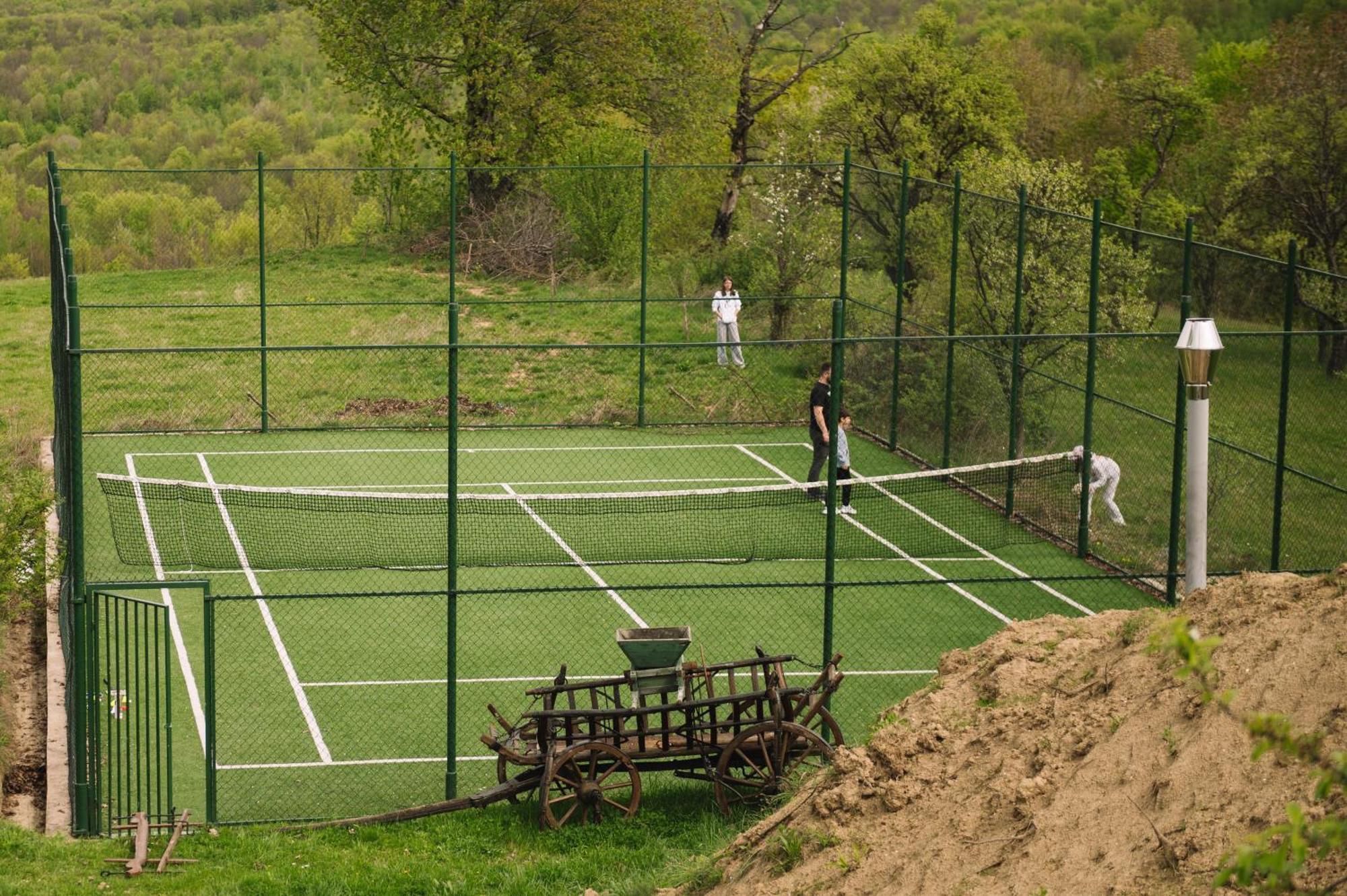 Villa Casa Vatra Sinteului - Cu Sala De Evenimente De Capacitate Mare - Se Inchiriaza Integral à Socet Extérieur photo